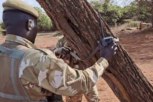 Revolutionizing Wildlife Conservation: A Partnership with KWS (Kenya Wildlife Service)