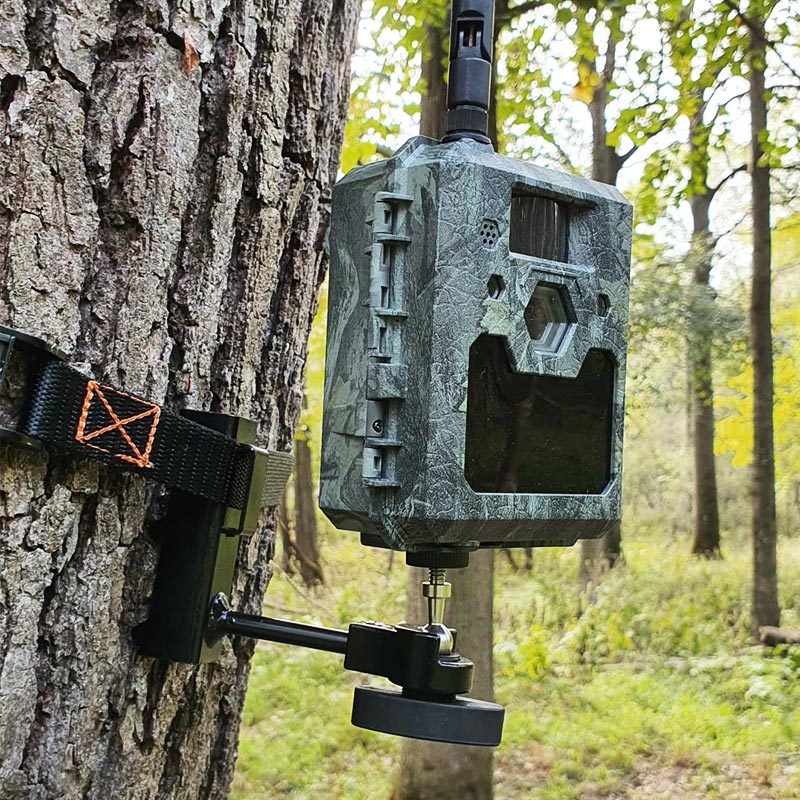 Universal Mount