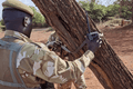 Revolucionando la conservación de la vida salvaje: Una asociación con KWS (Kenya Wildlife Service)