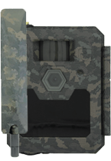 Cam 6