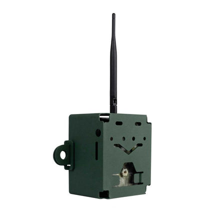SteelProtect Cam5 & Cam6