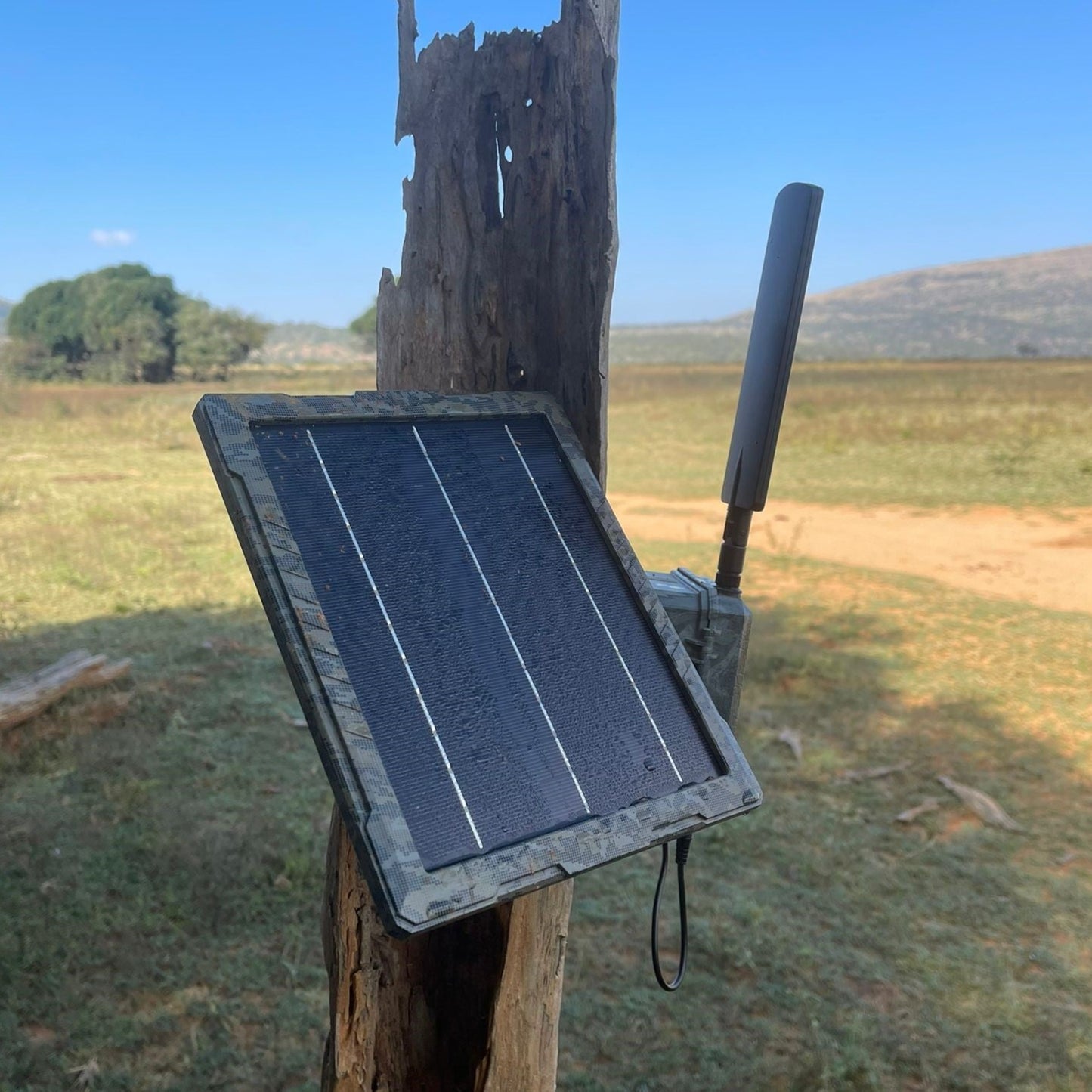 SolarCell Solarpanel