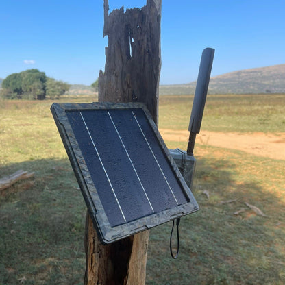 SolarCell Solarpanel